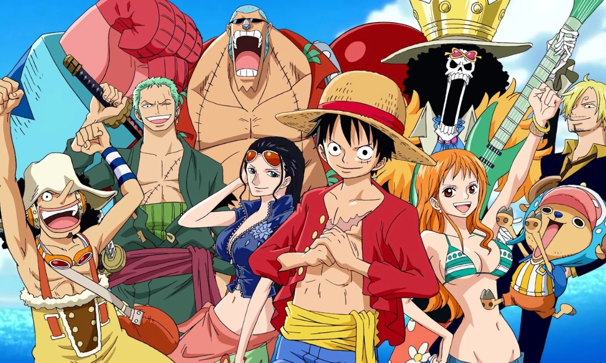 One Piece Wig