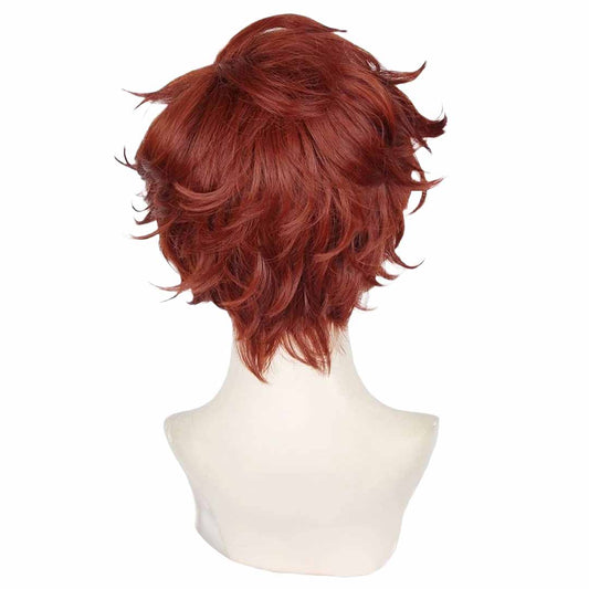 Julian the arcana wig