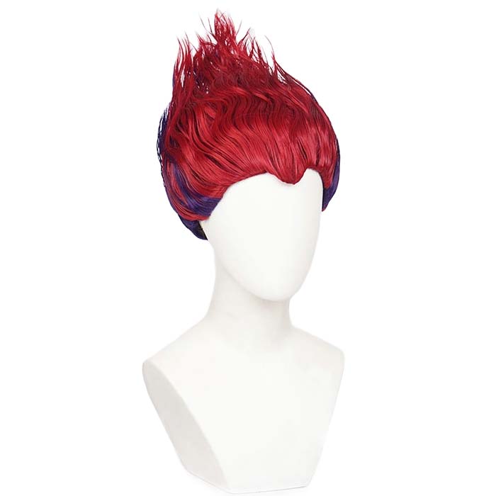 Hisoka Morow Wig - Unleash the Bungee Gum Brilliance