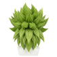 Super Broly Cosplay Wig