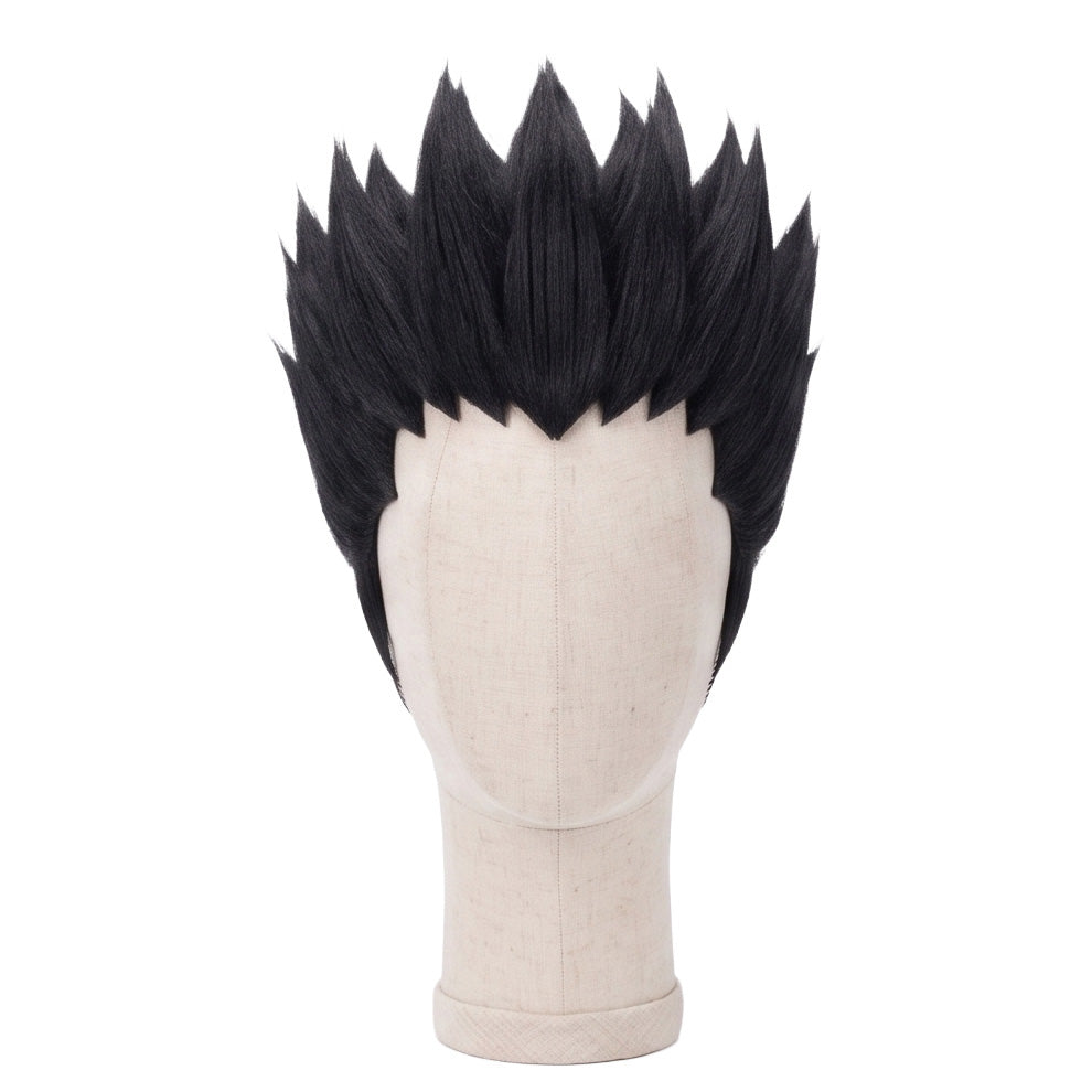 Leorio Paradinight Cosplay Wig