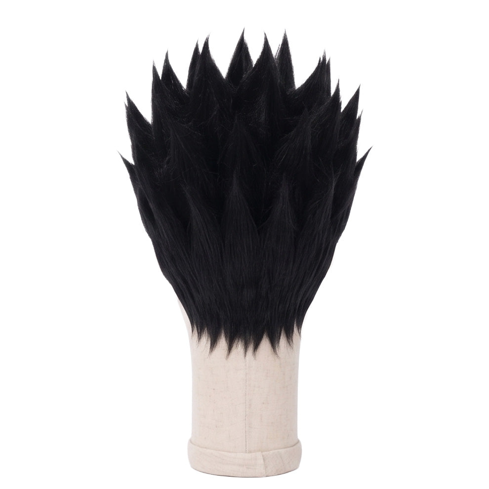 Leorio Paradinight Cosplay Wig