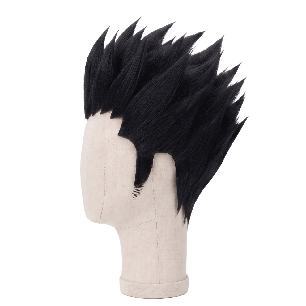 Leorio Paradinight Cosplay Wig