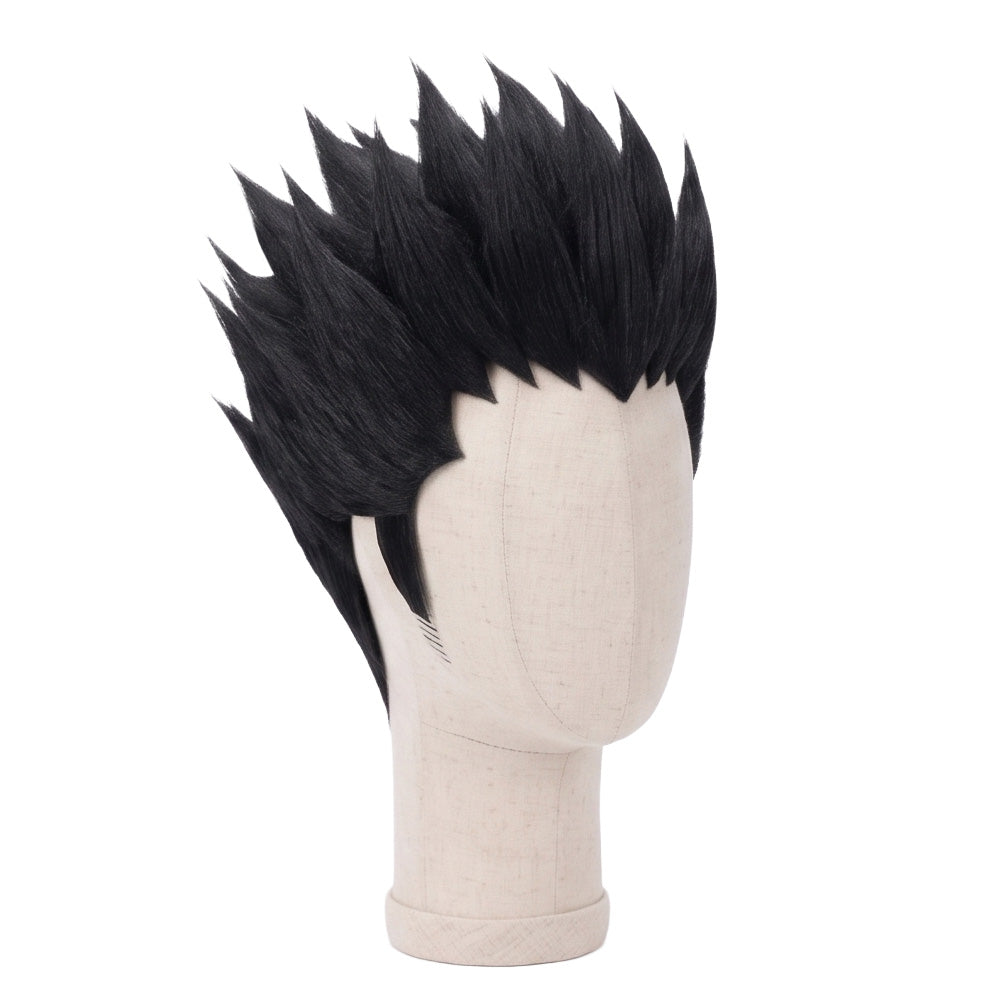 Leorio Paradinight Cosplay Wig