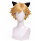 Adrien Agreste Cosplay Wig